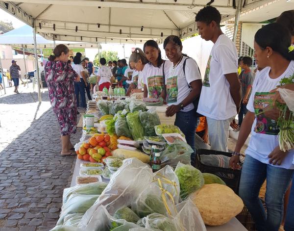 Prestação de Contas do 36º Congresso de Lavradores e Jovens da roça