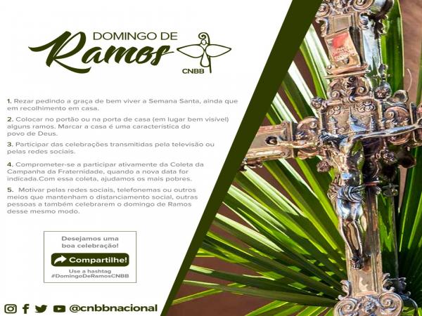 CNBB propõe que Domingo de Ramos seja celebrado de modo especial em tempos de coronavírus