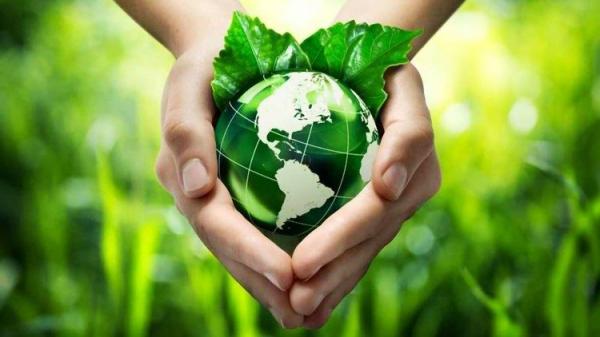 Dia Mundial do Meio Ambiente: A Igreja e a 
