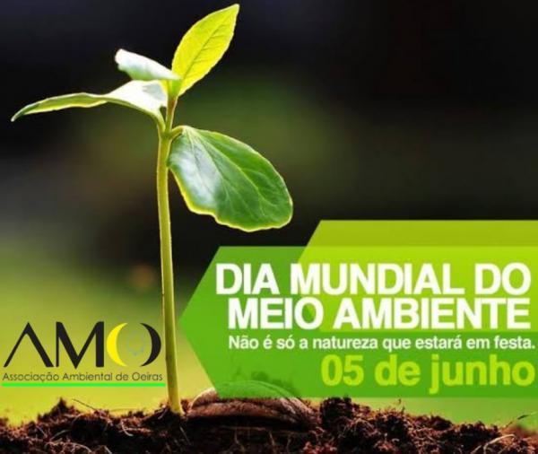 Dia do Meio Ambiente artigo o talhador de tudo isso por Emanuel Vital 