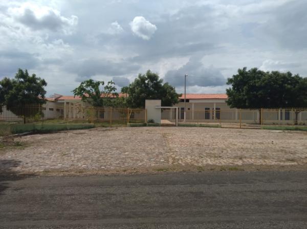 Alunos das escolas agrícola mantêm aprendizado durante a pandemia cultivando em casa 