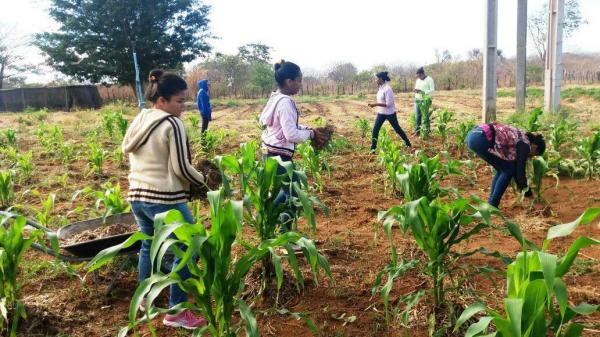 Escolas Famílias Agrícolas têm feito o diferencial na vida de jovens na região de Oeiras