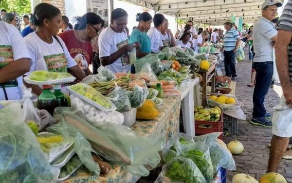 Congresso de Lavradores se consolida como alternativa ao setor primário na região de Oeiras