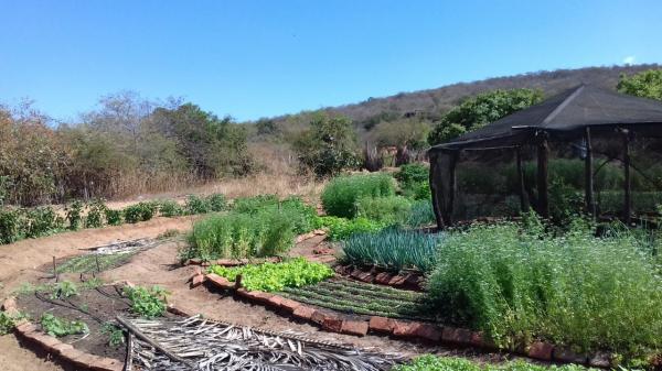Desenvolvimento sustentável de forma agroecológica da Comunidade Cepisa