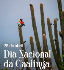 Dia Nacional da Caatinga